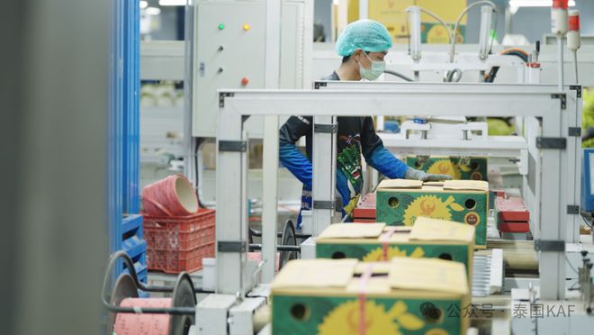 ：从泰国果园到中国餐桌的品质传奇CQ9电子专用平台泰国KAF集团