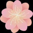 张丽娜：困境妇女家庭卫生清扫志愿服务CQ9电子平台网站执委实